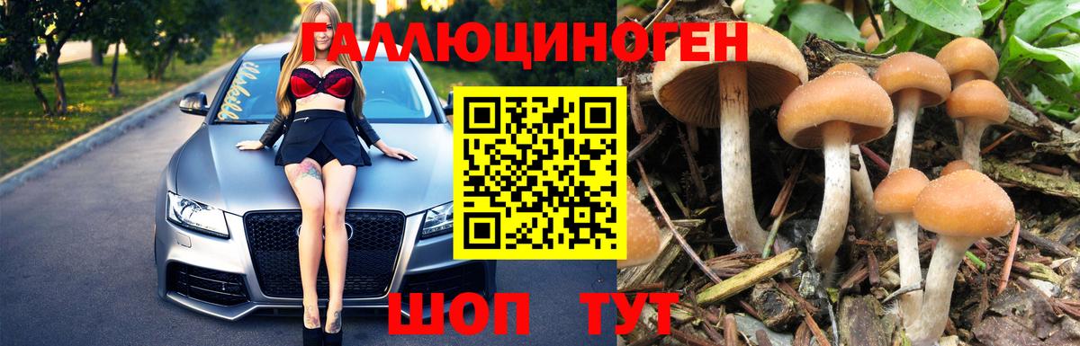 Псилоцибиновые грибы мицелий Северск