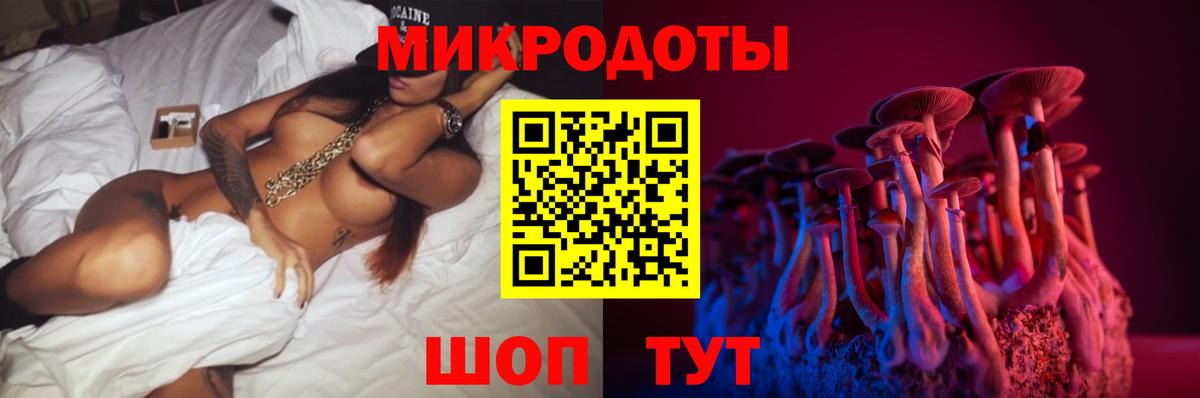Псилоцибиновые грибы ЛСД  Вход с VPN  где купить наркоту  Северск  Псилоцибиновые грибы мицелий 