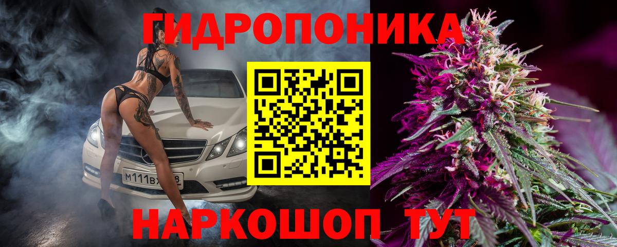 Марихуана семена  Канабис план  МАРИХУАНА гибрид  Марихуана LSD WEED  Северск  Вход с VPN 